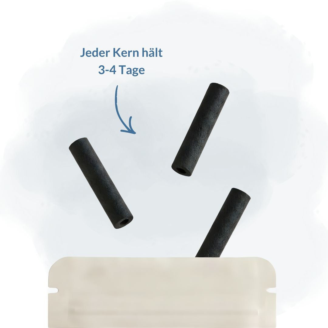 3er-Bundle Geschmackskerne – Natürlich & Rauchfrei | Airnity™