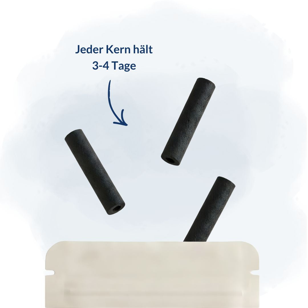 Blueberry Ice Geschmackskerne – Kühl & Fruchtig | Airnity™